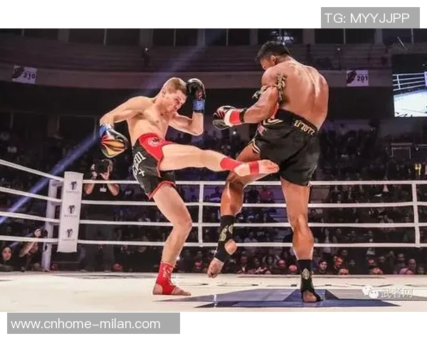 田鑫挑战播求精彩对决视频回顾两位拳手的巅峰时刻与精彩瞬间