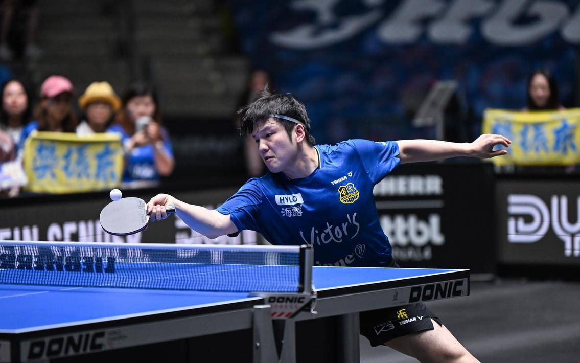 8.18日：樊振东1赛季完成德甲顶级转会豪门杜塞尔多夫创历史高薪